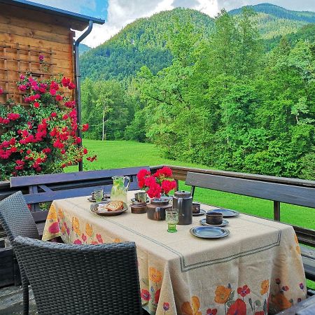 Holiday House Red Deer Preddvor Buitenkant foto