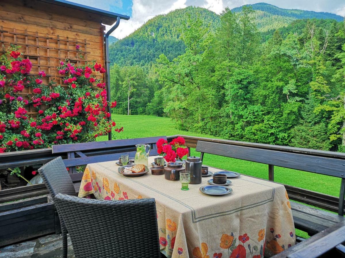 Holiday House Red Deer Preddvor Buitenkant foto