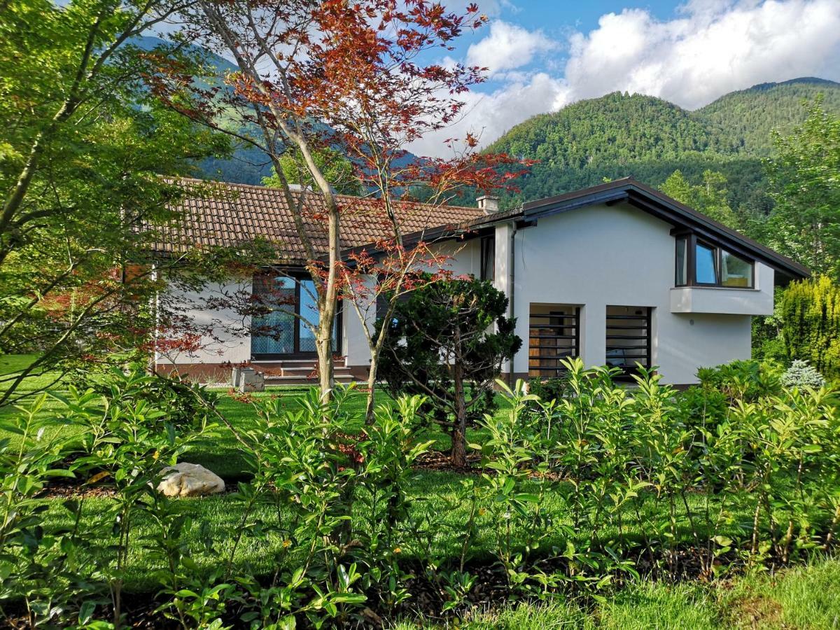 Holiday House Red Deer Preddvor Buitenkant foto