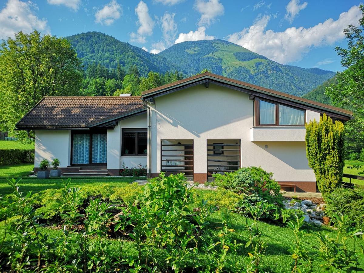 Holiday House Red Deer Preddvor Buitenkant foto